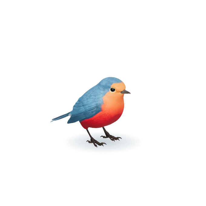 Readbird robin